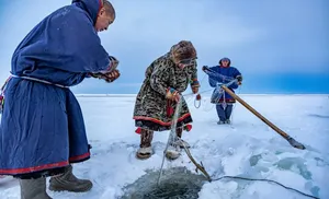На Ямале увеличат субсидии для рыбодобывающих предприятий