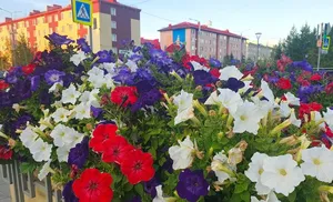 Коротко о важном