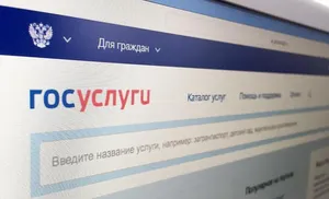 Возможность получения социально значимых услуг по установление опеки и попечительства над несовершеннолетними