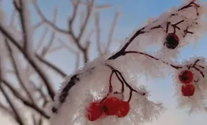 Коротко о важном