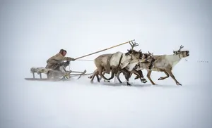 На Ямале с размахом отметили главный праздник кочевых народов