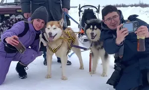 Приют «Дорога домой» открыл «Хаски-центр»