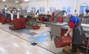 На Салехардском комбинате из остатков рыбы выпускают муку для животных