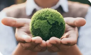 Салехардцев приглашают на международный климатический конкурс «Зелёная Евразия»