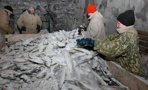 Предприятия Ямала получат поддержку на трудоустройство граждан