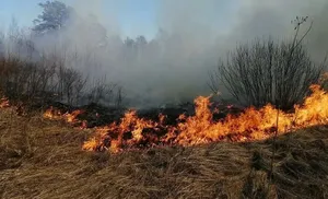 ЕДДС города Салехарда информирует о высоком уровне пожарной опасности в лесах