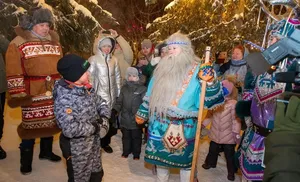 Место встречи – Таинственный лес