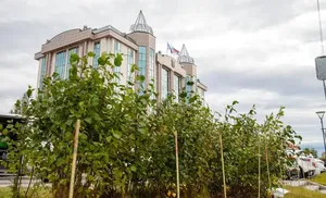 В Городской Думе обсудили и утвердили обновлённые правила благоустройства окружной столицы