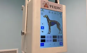 В Салехарде заработал первый рентген для животных