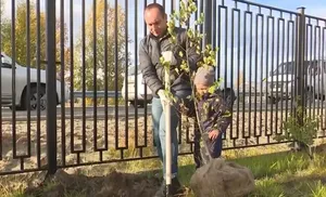 Малыши из детского сада «Морошка» приняли участие в экологической акции