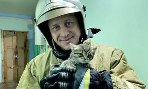 Салехардские огнеборцы спасли котенка