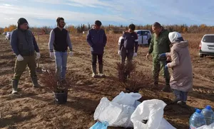 Самый большой ягодник – у нас!