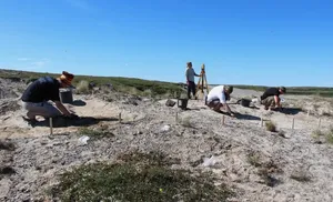 На Ямале нашли остатки древнего леса и орудия охотников