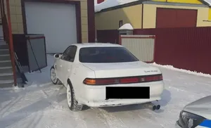 Салехардские полицейские остановили злоумышленника