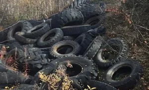 Очередная неприятная находка вблизи Салехарда