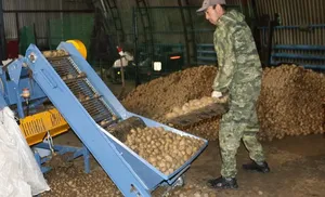 Аграрии Салехарда приступили к уборке урожая