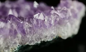 Минералы Ямала отправятся в Калининград