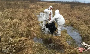 Недопущение несанкционированного захоронения биологических отходов