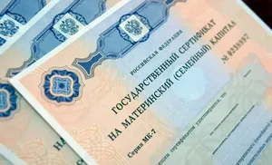Материнский капитал на Ямале: более 3700 сертификатов выдано с начала года