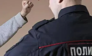 Нападение на полицейского закончилось для жительницы Салехарда условным сроком