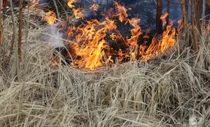 Ямал вступает в борьбу с огнем: начало пожароопасного сезона
