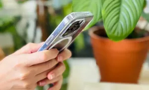 180 сервисов "жизненные ситуации" запущено в регионах