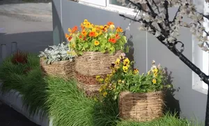 «Цветущий город» принимает заявки