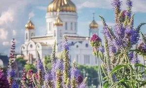 Салехардцы смогут бесплатно добраться до кладбищ в Радоницу на автобусах