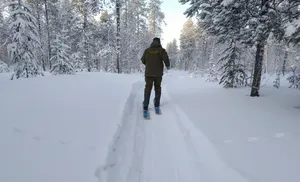 Ямальские охотники участвуют в учёте численности животных