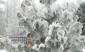 Коротко о важном