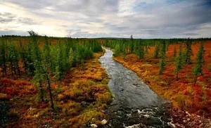 Технологические показатели наилучших доступных технологий утилизации и обезвреживания отходов