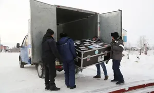 Знаменитый мамонтенок Ямала станет главным экспонатом выставки в Курганском областном музее