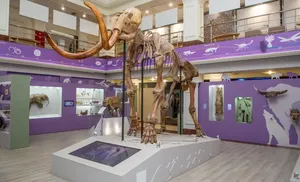 Обдорское хранилище этнографических коллекций