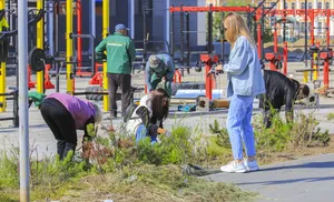 Субботник 2025. С заботой о зелёном облике города