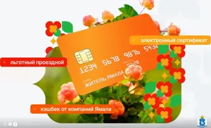 Морошковые возможности. Единая карта жителя Ямала расширяет социальную помощь