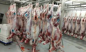 На Ямале растут объемы сдачи оленей на убой: Губернатор принял решение о выделении дополнительных средств