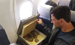 В Окский питомник доставлены яйца краснокнижного стерха для восстановления популяции