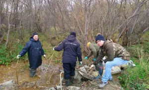 Сегодня на территории Салехарда проходит ежегодный Всероссийский субботник "Зеленая Россия"