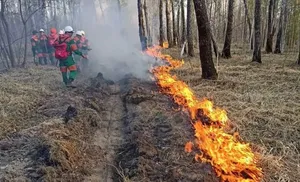 На территории Ямала продолжают бороться с природными пожарами