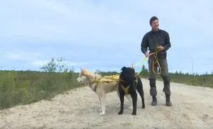 Хаски-Парк готовят к открытию в окружной столице