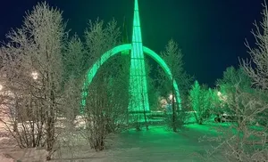 На Ямале с 27 по 30 ноября пройдёт флешмоб, посвящённый всероссийской акции «Сохраним лес»