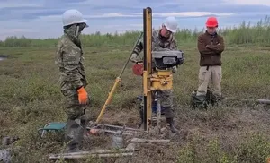 От тундры до средней тайги. Ямальские почвы – уникальный объект России