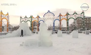 Министерство обороны РФ официально ответило на «антиновогодний флешмоб»