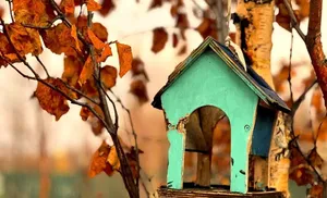 Коротко о важном