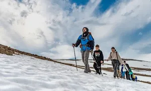 Снежный оазис на полярной земле