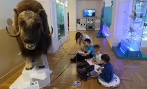 В Салехарде пройдет Открытый городской фестиваль «Поверь в мечту»