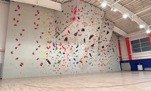 Строительство "Ямал Арены" перешло на завершающий этап