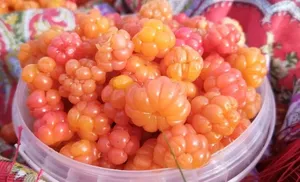 Медиацентр «Салехард» продолжает фотоконкурс о «тихой охоте»