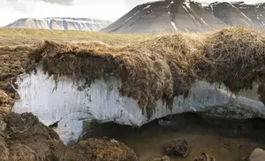 Ямал поддержит создание лаборатории ТГУ по исследованию мерзлоты