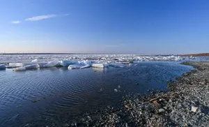 Безопасное русло: ученые подтверждают отличное качество воды в реке Обь на Ямале